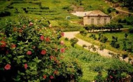 Futuro de Turismo em Cabo Verde - Risa Ramos - Parte III (Final)