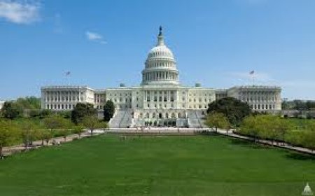 Senado rejeita orçamento e paralisa governo de Trump