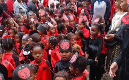 Brava: Os mais pequenos também gostam do Carnaval