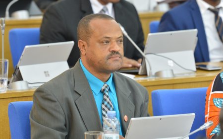David Lima Gomes interve no parlamento, registando o nivel de crescimento da ilha Brava, mas tambem falou dos problemas que afligem a ilha