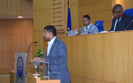 DEPUTADO, ELEITO PELO CÍRCULO ELEITORAL DAS AMÉRICAS, APELA À SENSIBILIDADE DO GOVERNO PARA DIMINUIR OS CUSTOS ADUANEIROS E O TEMPO DE DEMORA NOS DESPACHOS