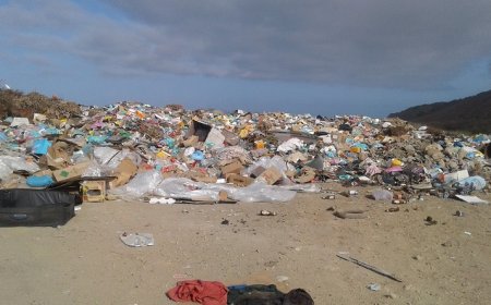 Brava: Câmara Municipal só pode tomar mediadas mais a fundo em relação a lixeira municipal a partir de Janeiro de 2019 – Francisco Travares