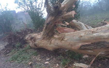 Tempestade tropical “Helene” faz estragos “pouco significativos” em Santiago, Fogo e Brava
