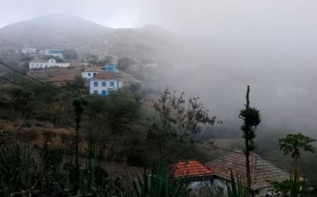 Ministério da Agricultura já tem resultados do processo instaurado ao delegado na ilha Brava