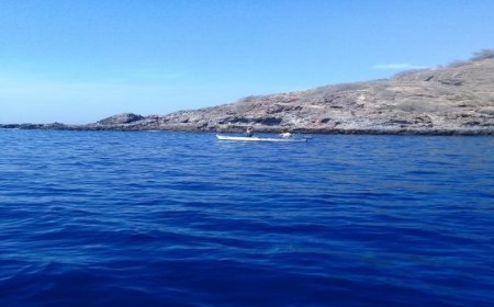 Brava: Pescadores clamam por mais apoios e melhor atenção das entidades responsáveis
