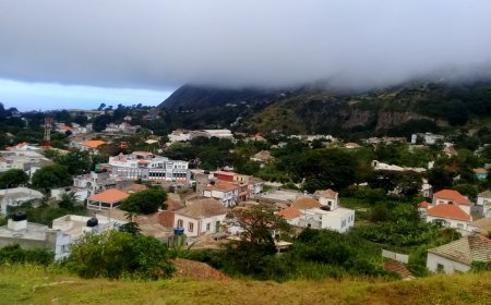 Brava: Biólogo alerta sobre consumo de tubarão que pode provocar doenças