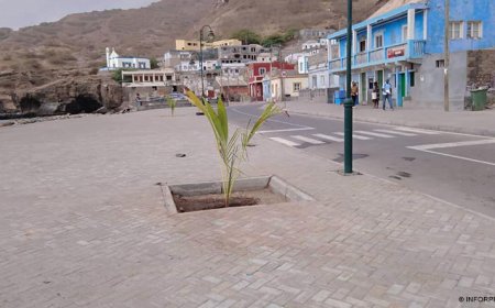 Brava: Autarquia tenciona ter todas as casas de Furna dotadas de casas de banho até Março de 2020