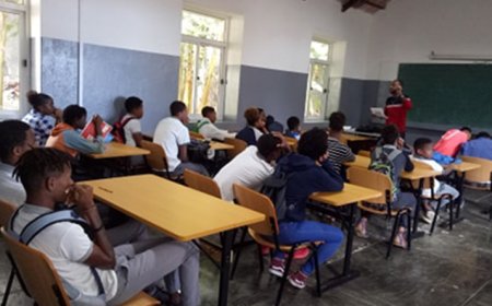 Brava: Local Employment and Employability Network completes activity plan