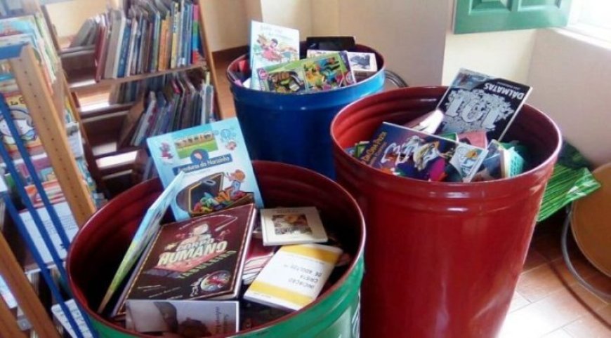 Brava: Responsible for the project “Brava'sLittle Libraries” initiates contacts for partnerships