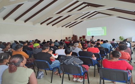 Brava: ICCA pretende trabalhar de “mãos dadas” com as escolas na sensibilização sobre a responsabilização parental
