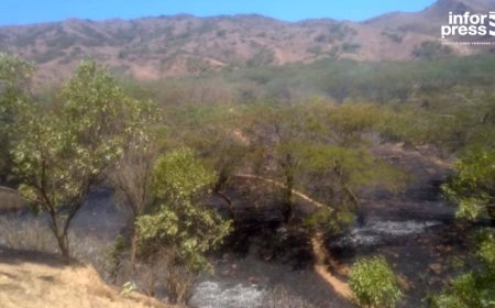 Brava: Responsável da Protecção Civil alerta para necessidade de redobrar os cuidados e evitar incêndios