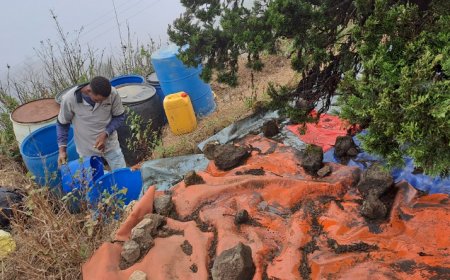Brava: Criadores das zonas altas adoptam técnicas de captura de água do nevoeiro para minimizar os efeitos da seca