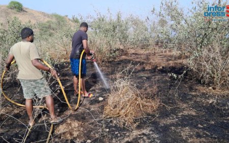 Brava: Incêndio de origem desconhecida deflagra cerca de 100 metros quadrados nas imediações do Estádio Aquiles D´Oliveira