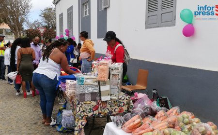 Brava: Feira Livre gains space on the agenda of female exhibitors and becomes routine for visitors