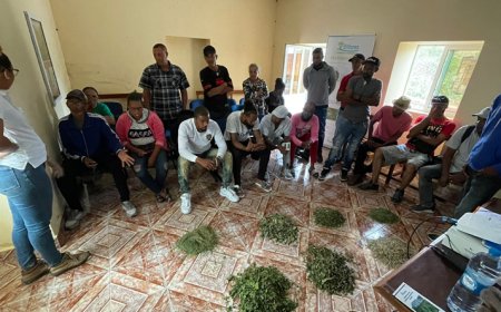 Brava: Projecto pastoreio sustentável forma 22 criadores em “saúde animal e dieta alimentar”