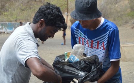 Brava: Biflores brings together local associations and the community in a cleanup action on the only sandy beach on the island