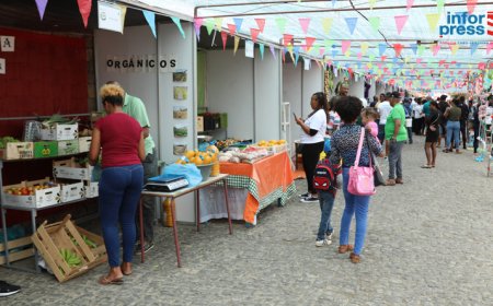Brava: Expositores da feira da agropecuária confiantes de que os resultados serão “melhores e benéficos” 