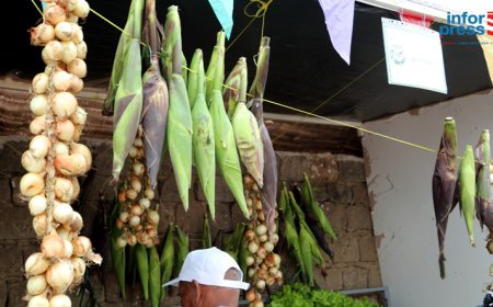 Dia do Município/Brava: Expositores satisfeitos com os resultados da 12ª edição da Feira da Agropecuária