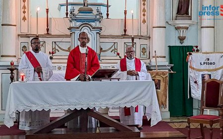 Brava: “Paul and Peter call Christians to be living stones of the church in a different, but Christ-centered way”