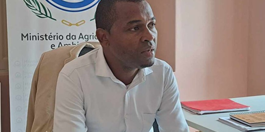 Brava: Delegado do MAA garante que estão a trabalhar para repor o normal funcionamento do teleférico em Lomba