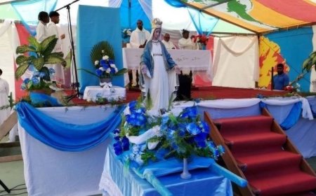 Brava: Festa de Nossa Senhora do Monte assinalada com procissão e missa solene