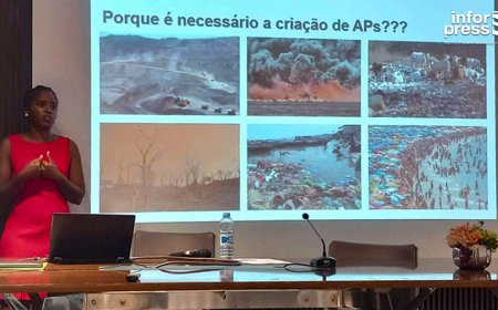 Bióloga diz acreditar que este é o momento de analisar proposta de criação de área protegida na Brava