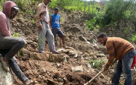 CMB e Grupo de jovens de Fajã e Lagoa unem-se para melhorar o Caminho Vicinal Fajã - Lagoa