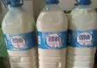 Pastores desesperados com excedente de leite devido à paralisação na fabricação de queijo