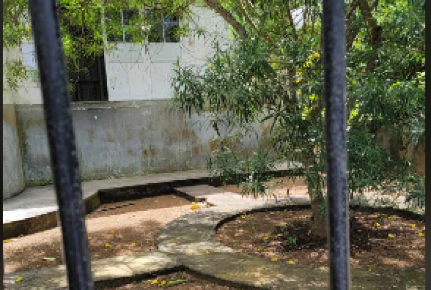 Centro de Saúde da Brava responde a Denúncia e reclamação dos utentes, realiza limpeza do jardim em frente à Instituição