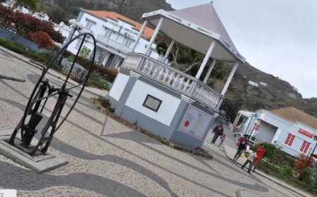 Presidente substituto da câmara defende medida de contingência e alerta adotado pelo Governo