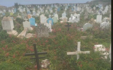 Cemitério de Nova Sintra em estado crítico de degradação causa revolta de pessoas que visitam o local