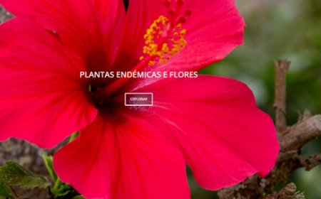 Brava: Projecto Raízes+ anuncia site que disponibiliza informação “importante” sobre ecoturismo da ilha