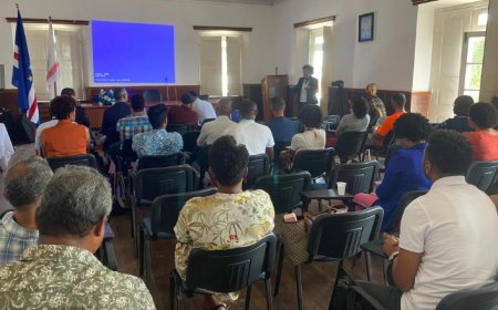 Diagnóstico Social e Projetos Locais na Brava: Parceria com a Câmara Municipal de Oeiras - PT