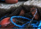 Brava: Pescadores bravenses apelam mais atenção à classe por parte do Governo