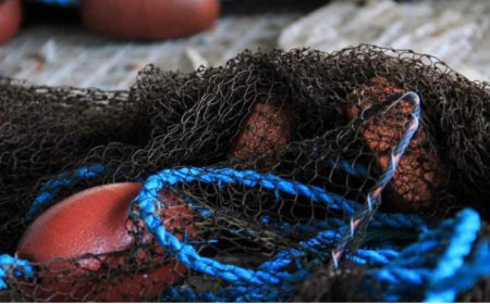 Brava: Pescadores bravenses apelam mais atenção à classe por parte do Governo