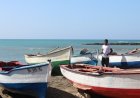 Brava: Autarquia anuncia Curso de Iniciação para Pescadores