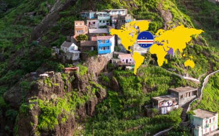 Dengue em Cabo Verde: 1.205 Casos Registrados em 2024